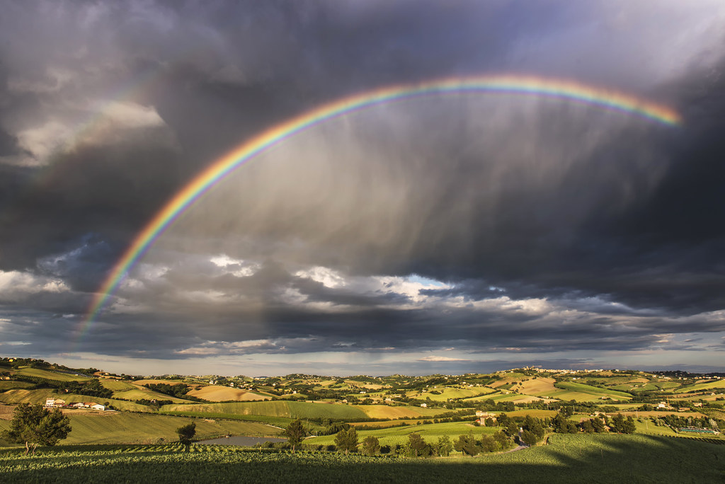 QUEL  CHE  RESTA  DOPO  LA  TEMPESTA