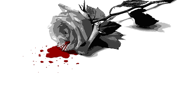 MORTE   DI   UNA   ROSA