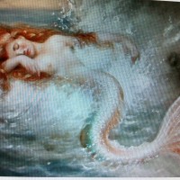 LA  TUA   SIRENA